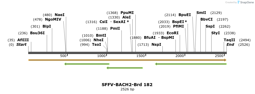 427906_map
