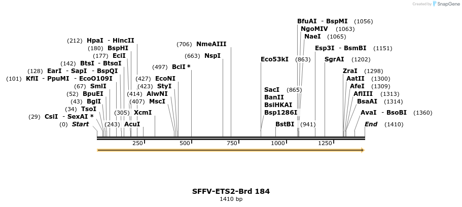 427909_map