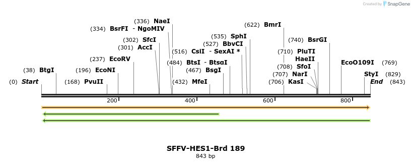 427918_map