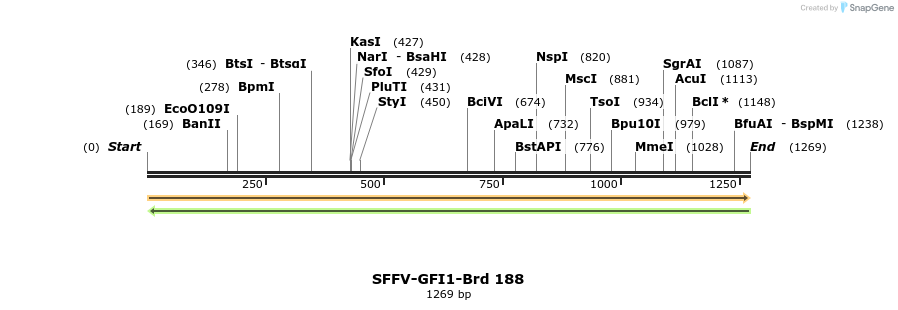 427921_map