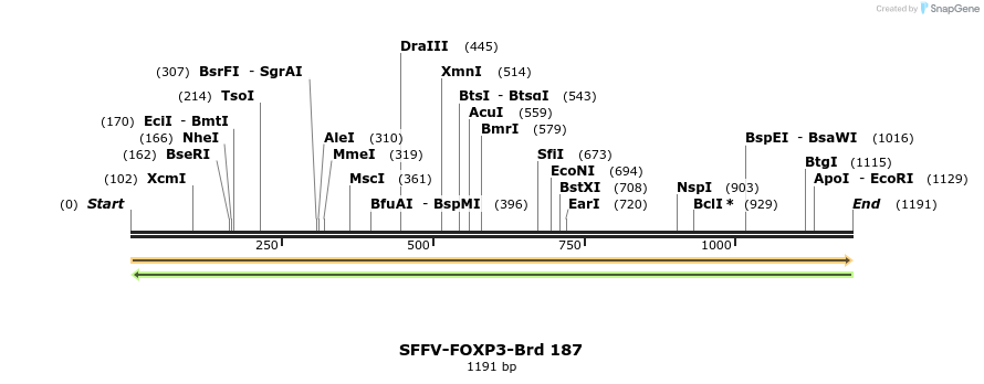 427924_map
