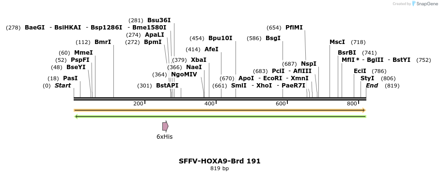427930_map