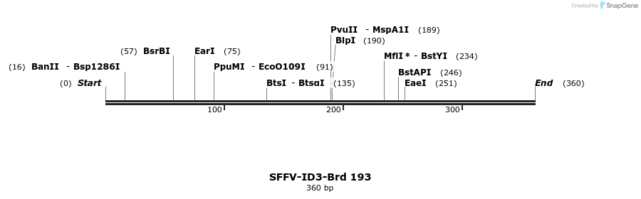 427936_map