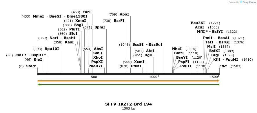 427939_map