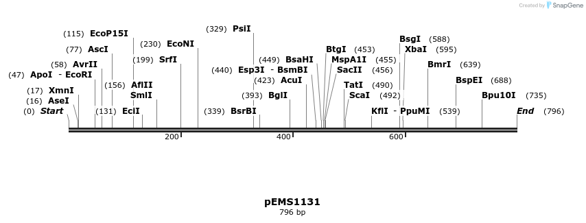 42794_map