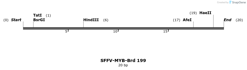 427949_map