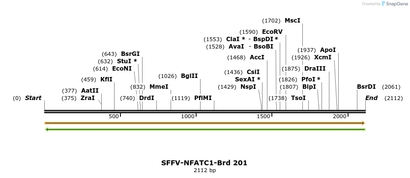 427951_map