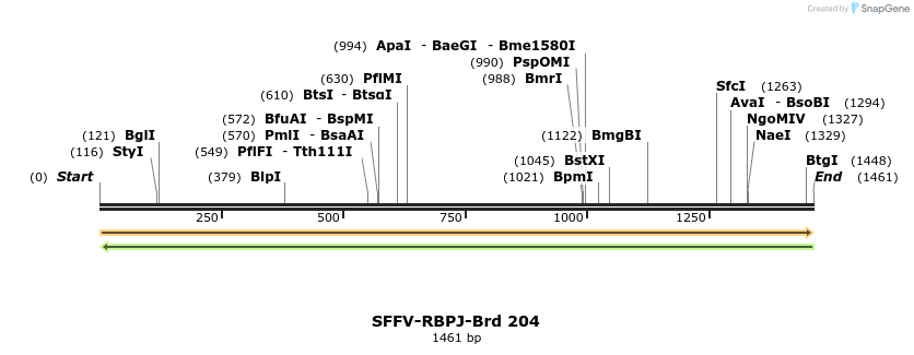 427954_map