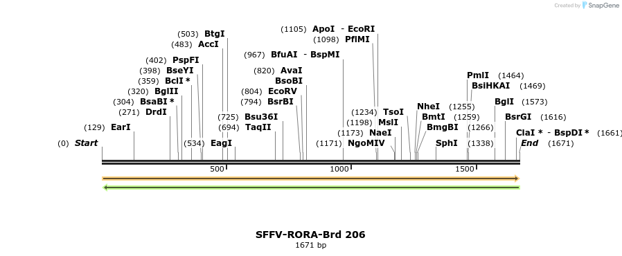 427960_map