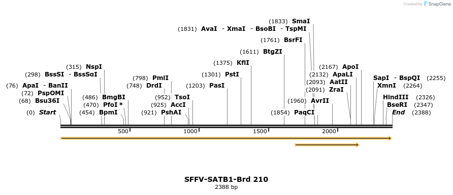 427963_map
