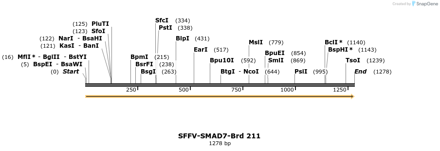 427966_map