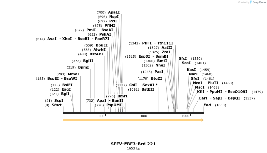 427975_map