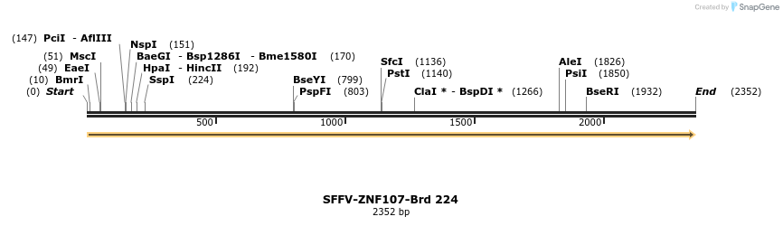 427981_map