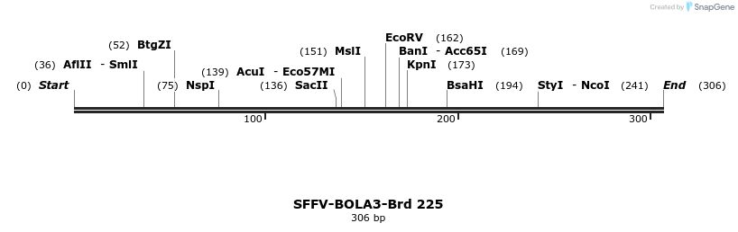427984_map