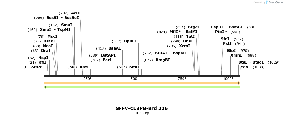 427987_map