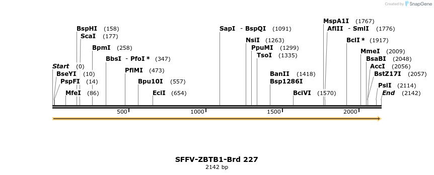 427990_map