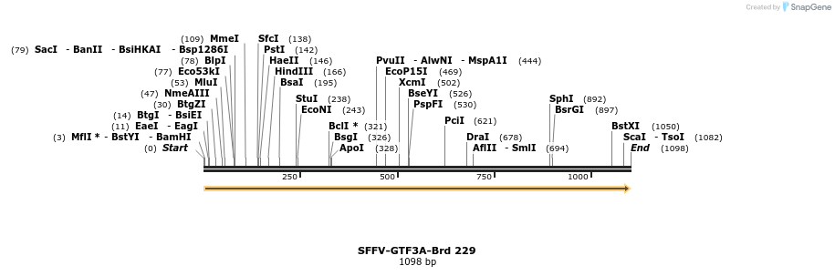 427996_map