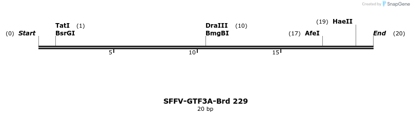 427997_map