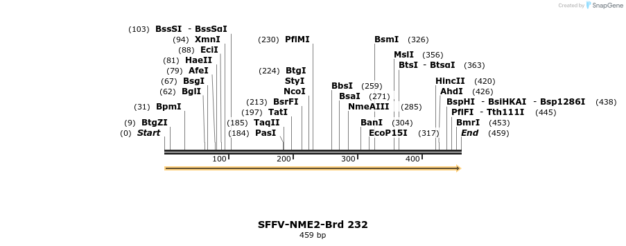 428005_map