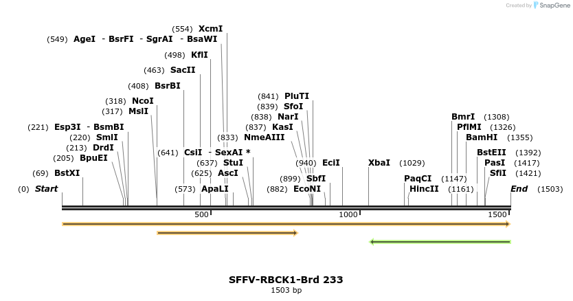 428008_map