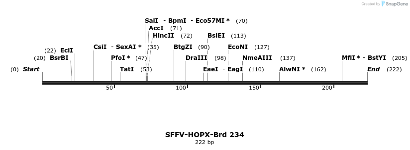 428011_map
