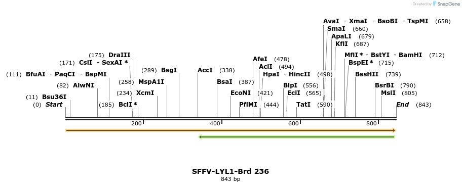 428017_map