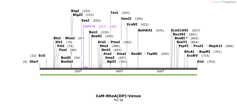 42802_map