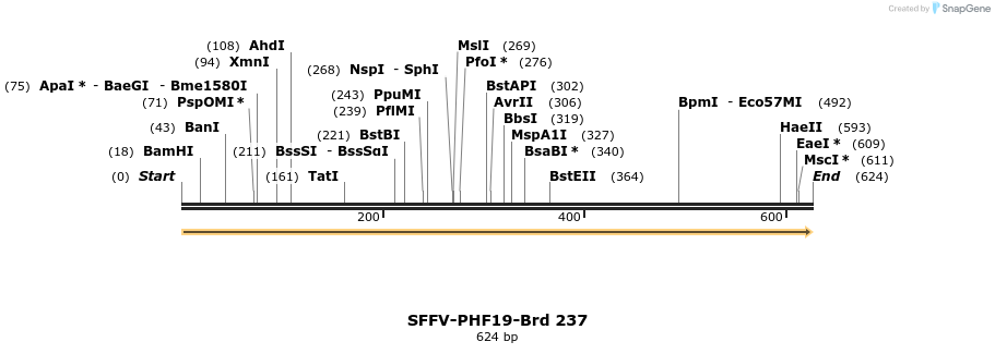 428020_map