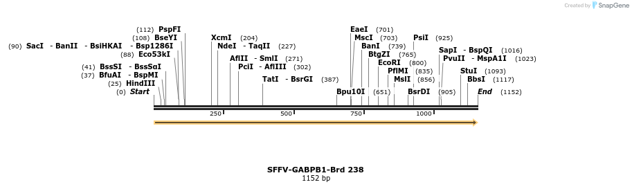 428023_map
