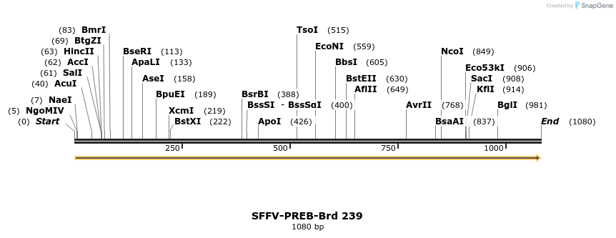 428026_map