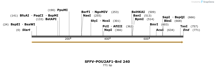428029_map