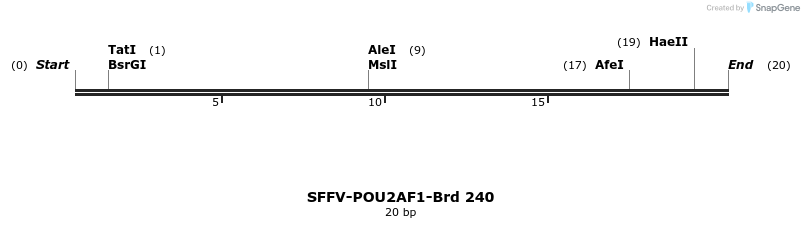 428030_map