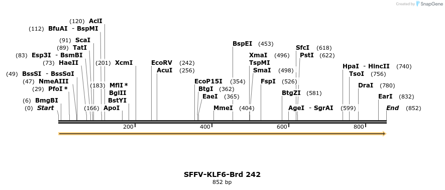 428035_map