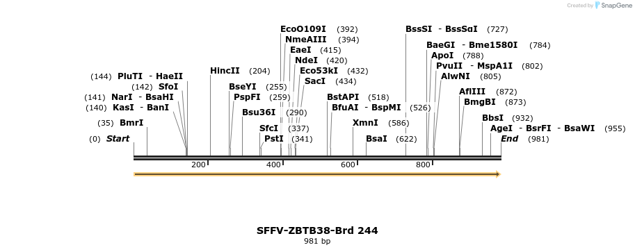 428041_map