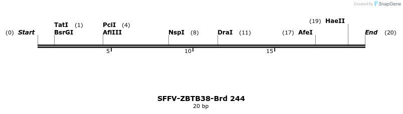 428042_map