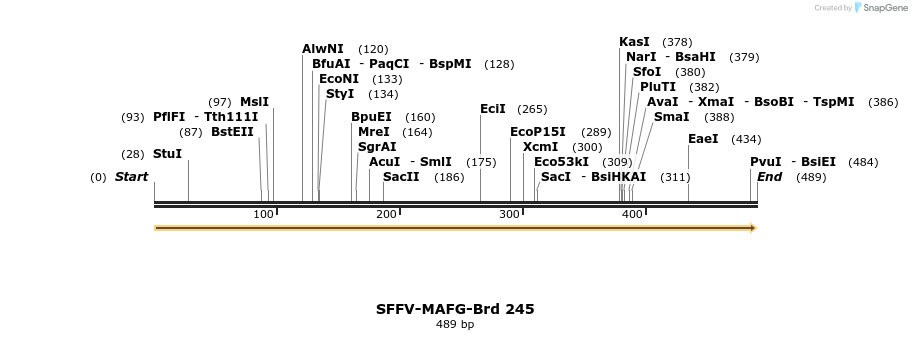 428044_map