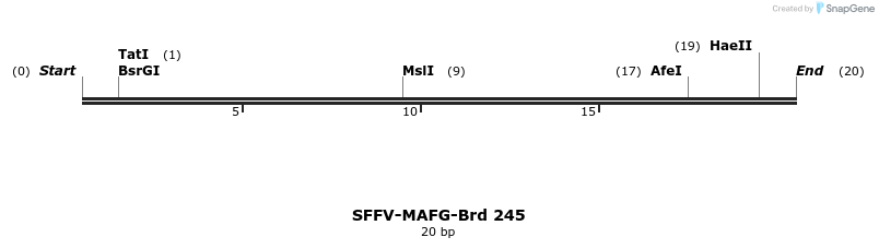 428045_map