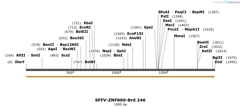 428047_map