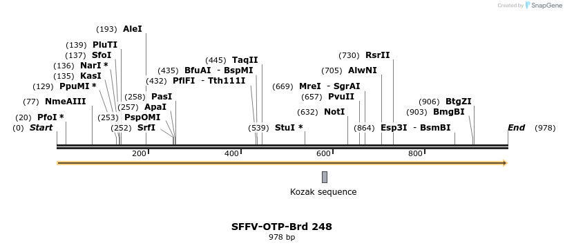 428053_map