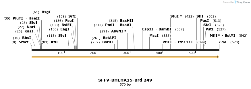 428056_map