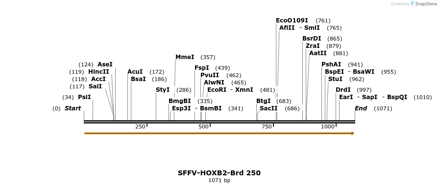 428059_map