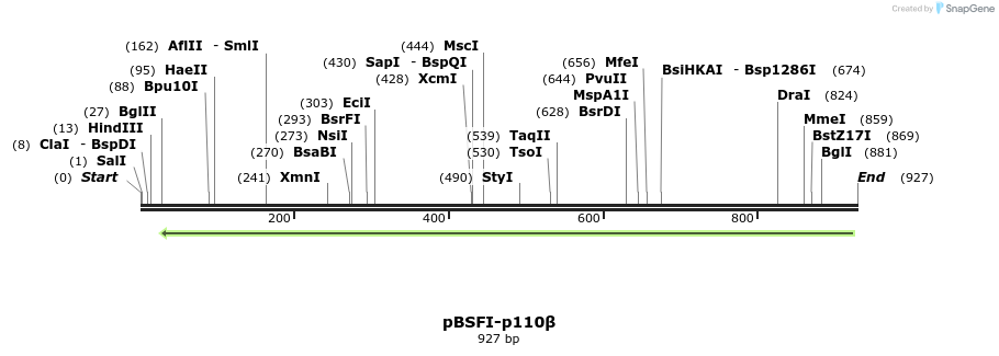 42806_map