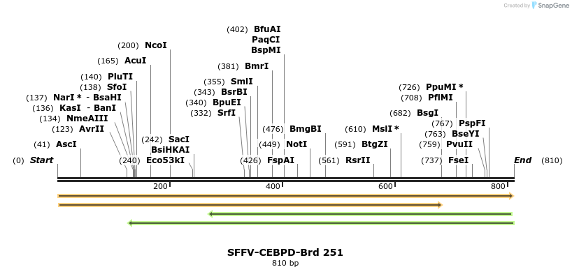 428062_map