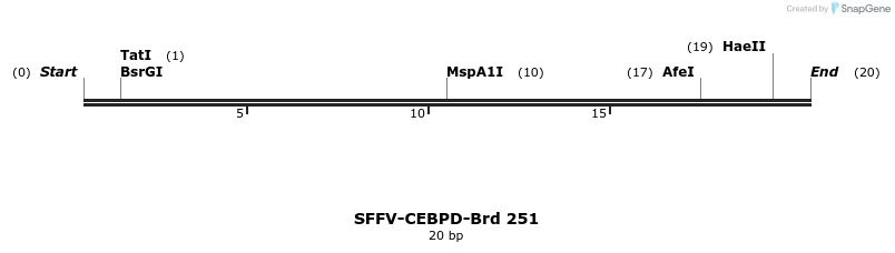 428063_map