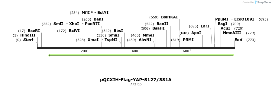 42807_map