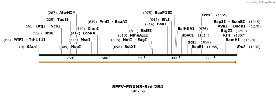 428071_map