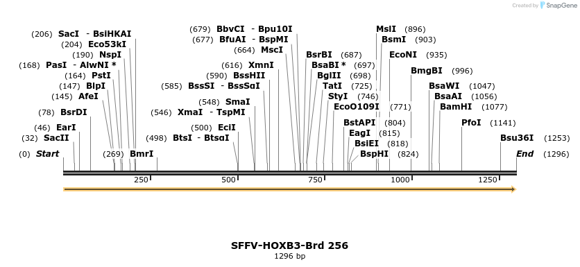 428077_map