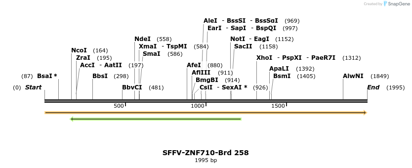 428083_map
