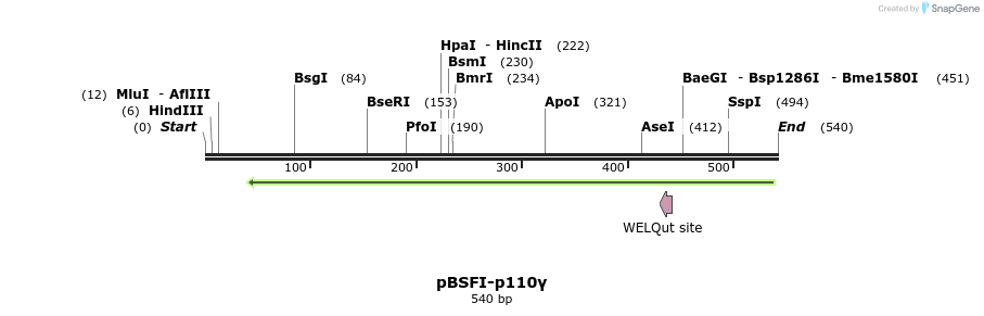 42809_map