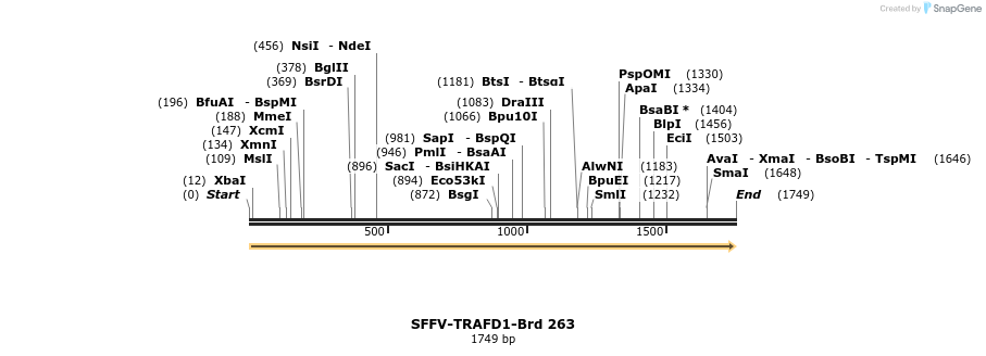 428095_map